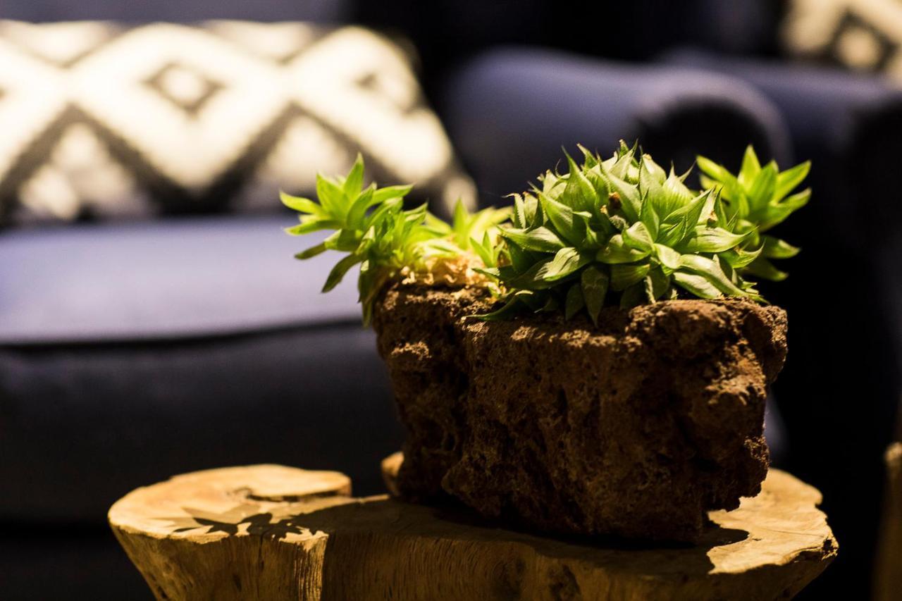 Z.Garden Daire Dali  Dış mekan fotoğraf